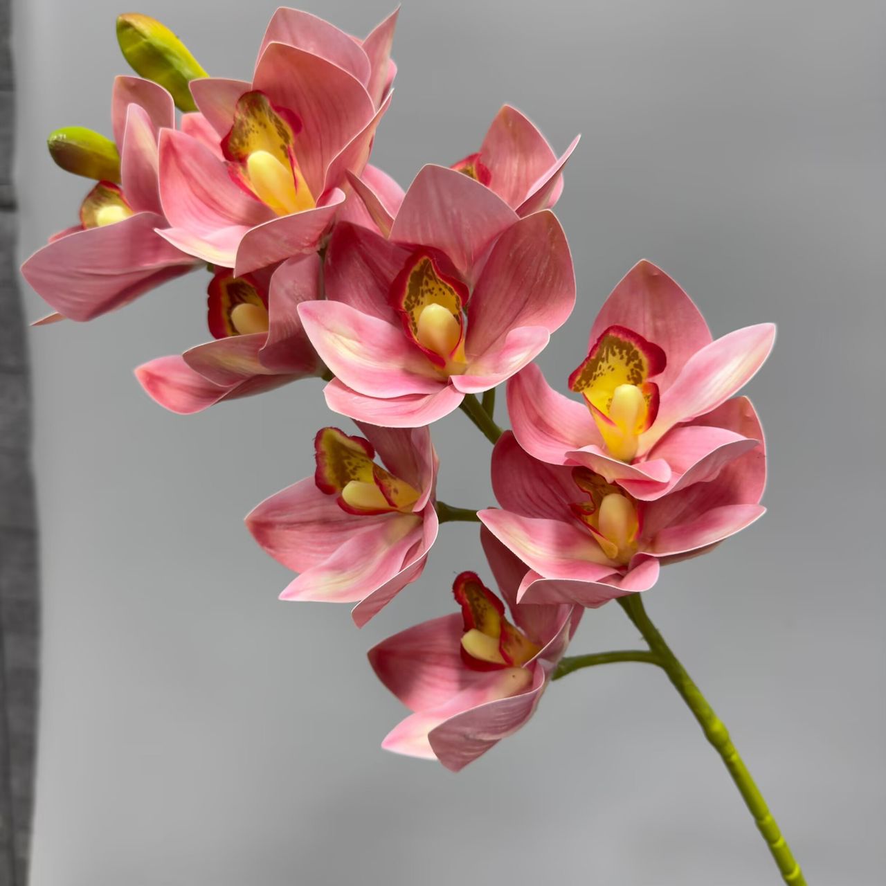 Real Touch - Cymbidium Orchid - Pink