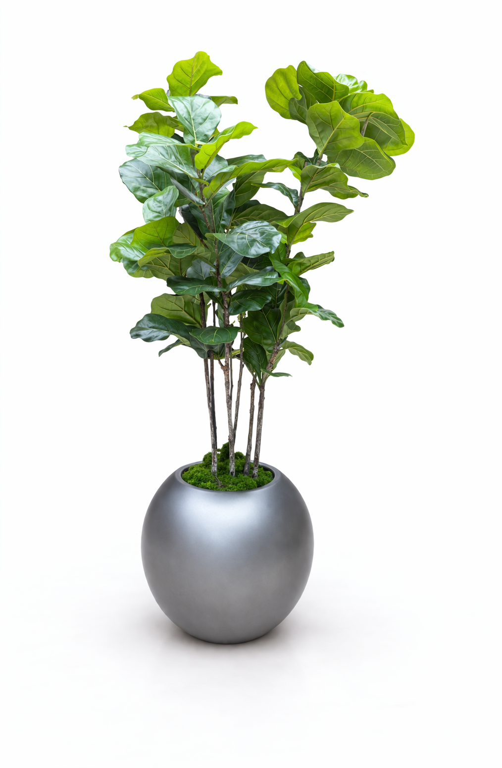 Artificial Fiddle Leaf Fig