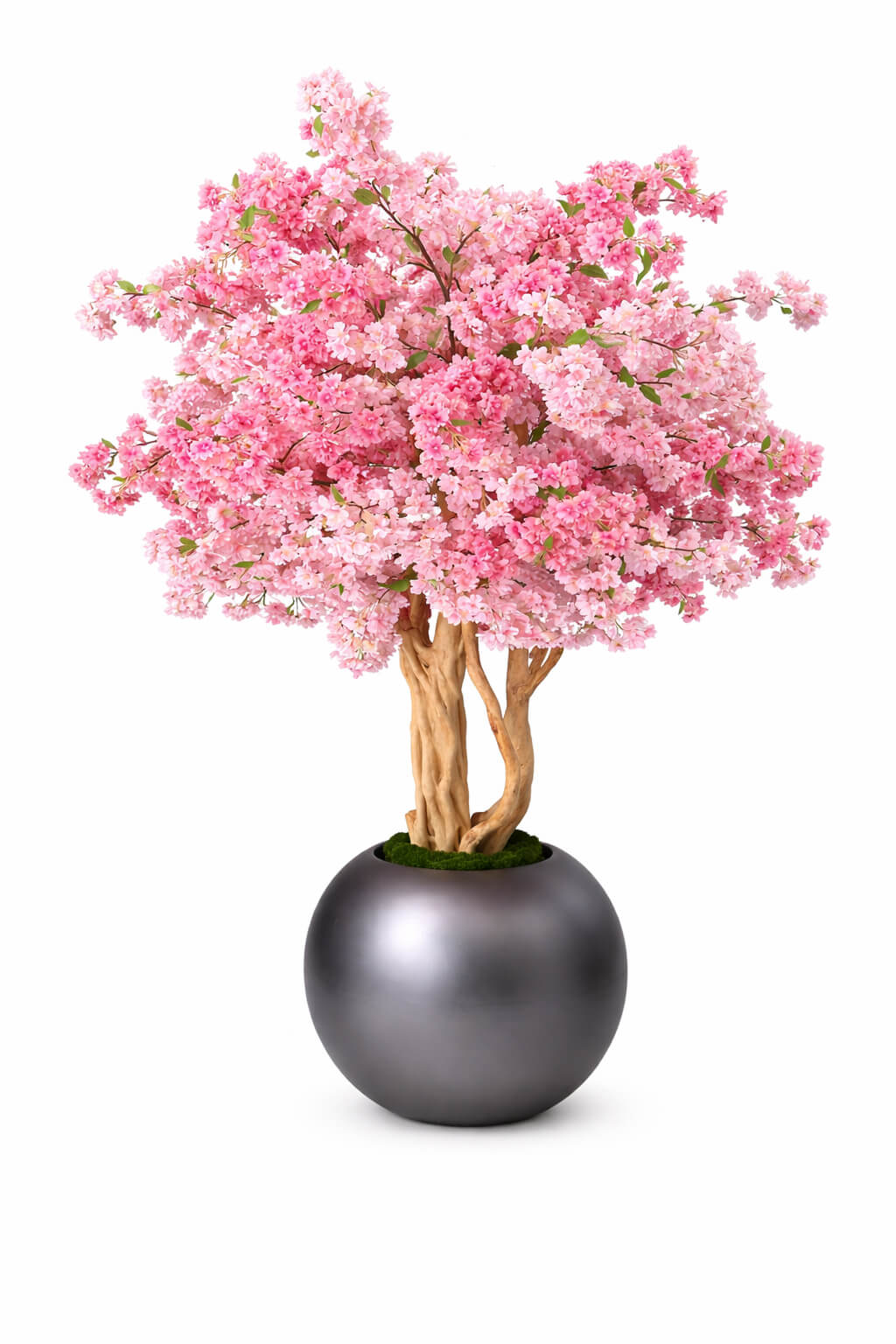 Luxury Pink Cherry Blossom Tree