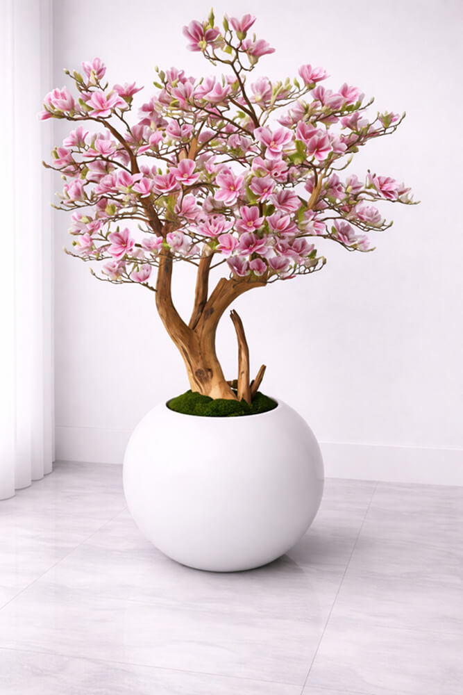 Pink Magnolia Tree in Glossy White Globe Planter