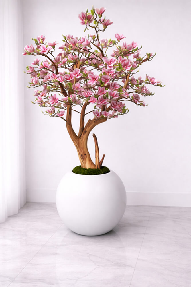Pink Magnolia Tree in Glossy White Globe Planter