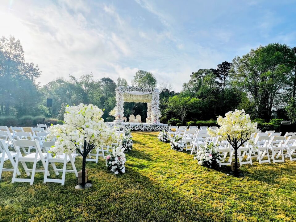 Cherry Tree - 5 feet - Image 3