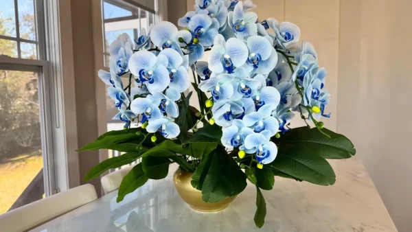 Blue Phalaenopsis Orchids Floral Arrangement in Medium Gold Planter - Image 3