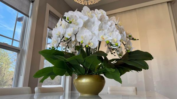 White Phalaenopsis Orchids Floral Arrangement in Medium Gold Planter - Image 2