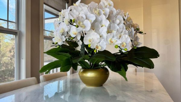 White Phalaenopsis Orchids Floral Arrangement in Medium Gold Planter - Image 3