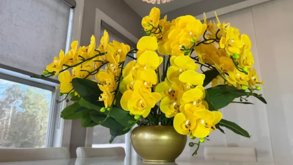 Yellow Phalaenopsis Orchids Floral Arrangement in Medium Gold Planter - Image 3